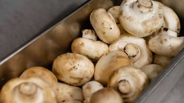 Future Dated Mushrooms Found In Zomato Warehouse, CEO Defends