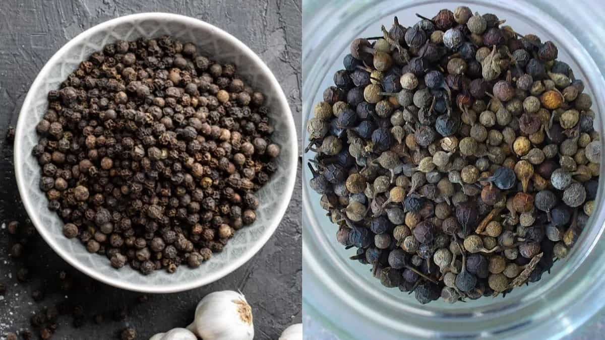 Cubeb Pepper Vs. Black Pepper: Understanding Key Differences