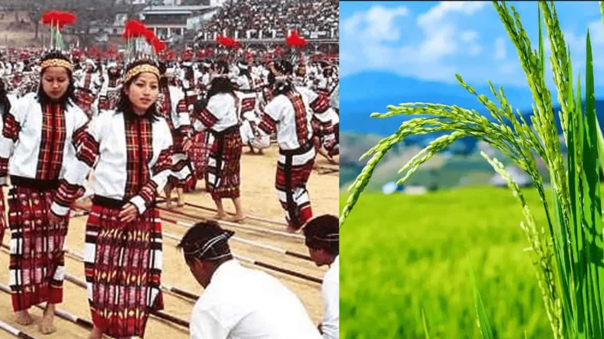 Chavang Kut 2022: Manipur's Festival Honouring Harvest Season