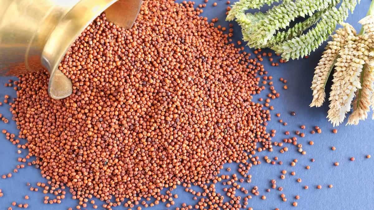 The 6 Health Benefits Of Ragi That Make It A Modern Superfood 