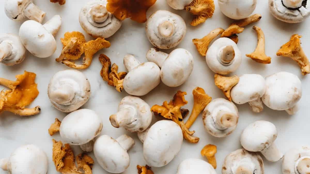 7 Umami Rich Mushroom Snack Recipes To Make At Home