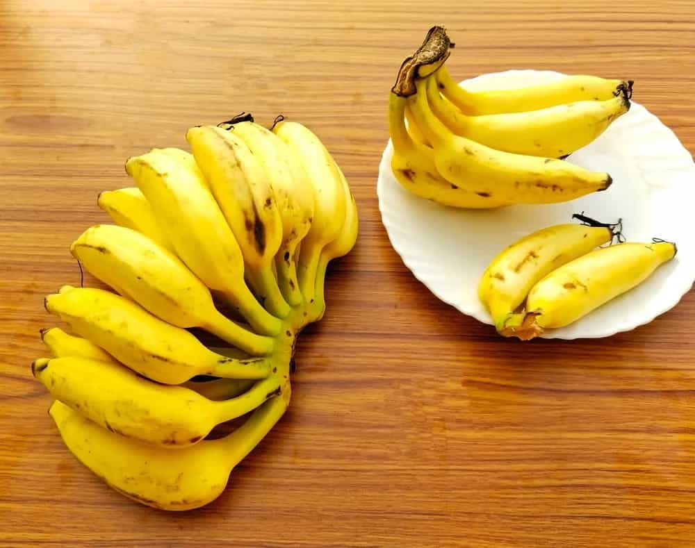 9 Banana Varieties Popular Across The World