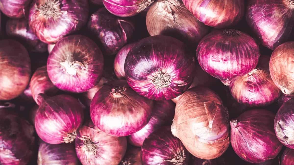 Know Your Onions: A Guide To Alliums