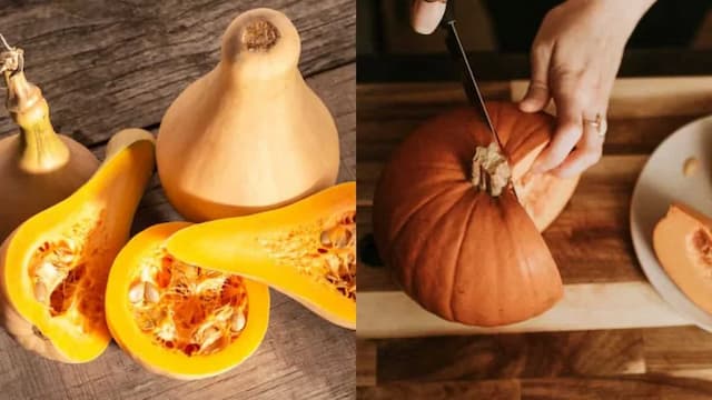 Butternut Squash Vs. Pumpkin: Key Differences Between Vegetables