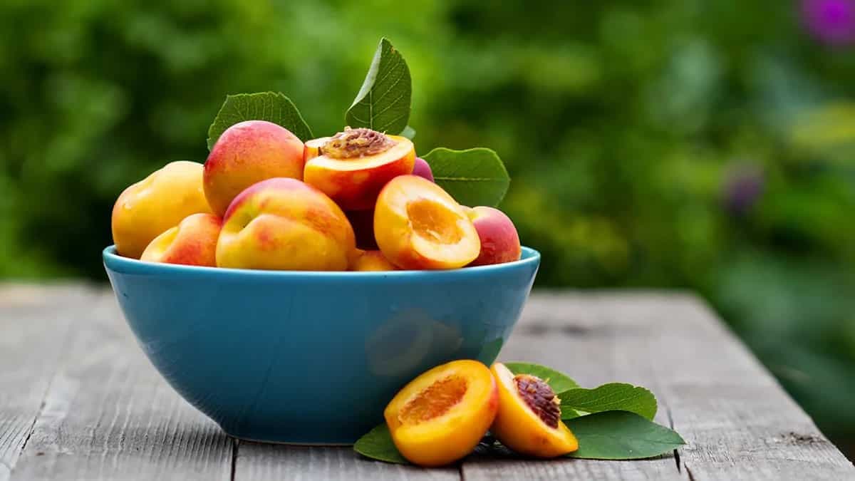 What Are Stone Fruits? 7 Reasons You Should Eat Them