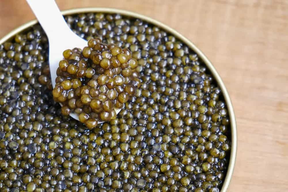 Caviar To Hilsa Eggs, Are You Aware Of These Edible Varieties? 