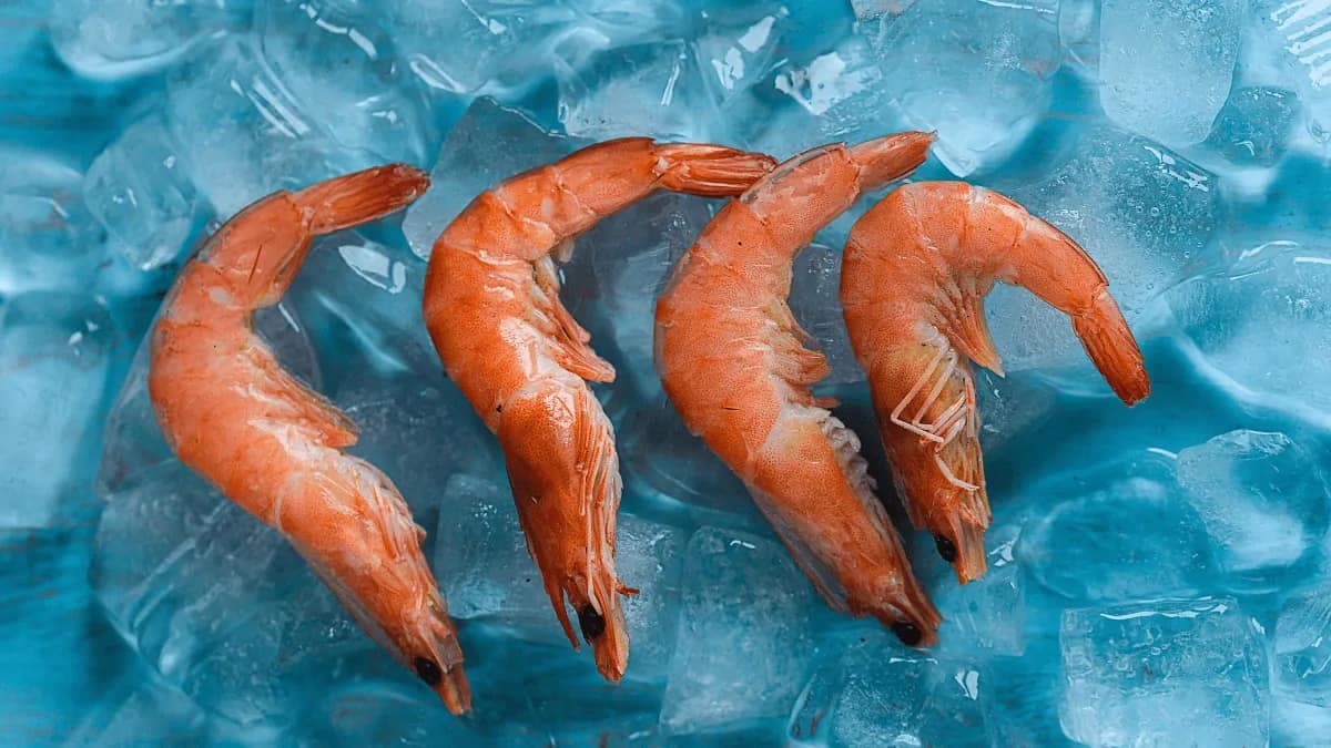 Prawns Vs. Shrimp; Know The Difference