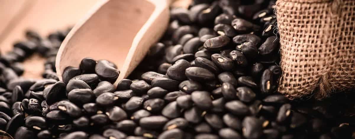 6 Benefits Of Black Matpe, The Imported Dal From Brazil