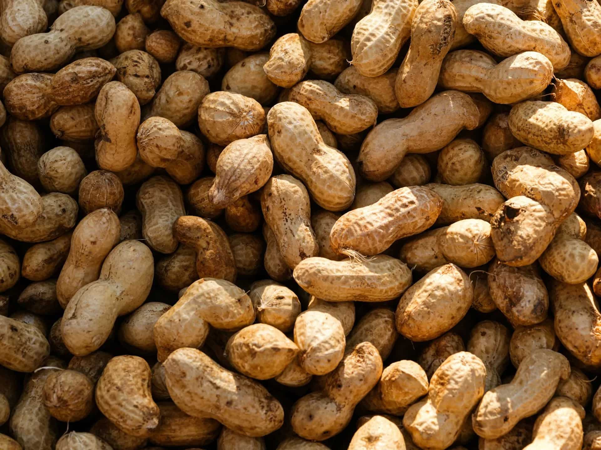 Cooking With Peanuts: Tips, Types, And Techniques