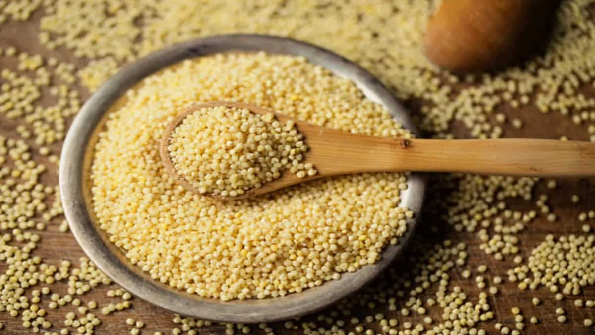 Foxtail Millet: A Boon For Health 