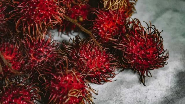 How To Grow Rambutan In Your Kitchen Garden? Tips And Tricks