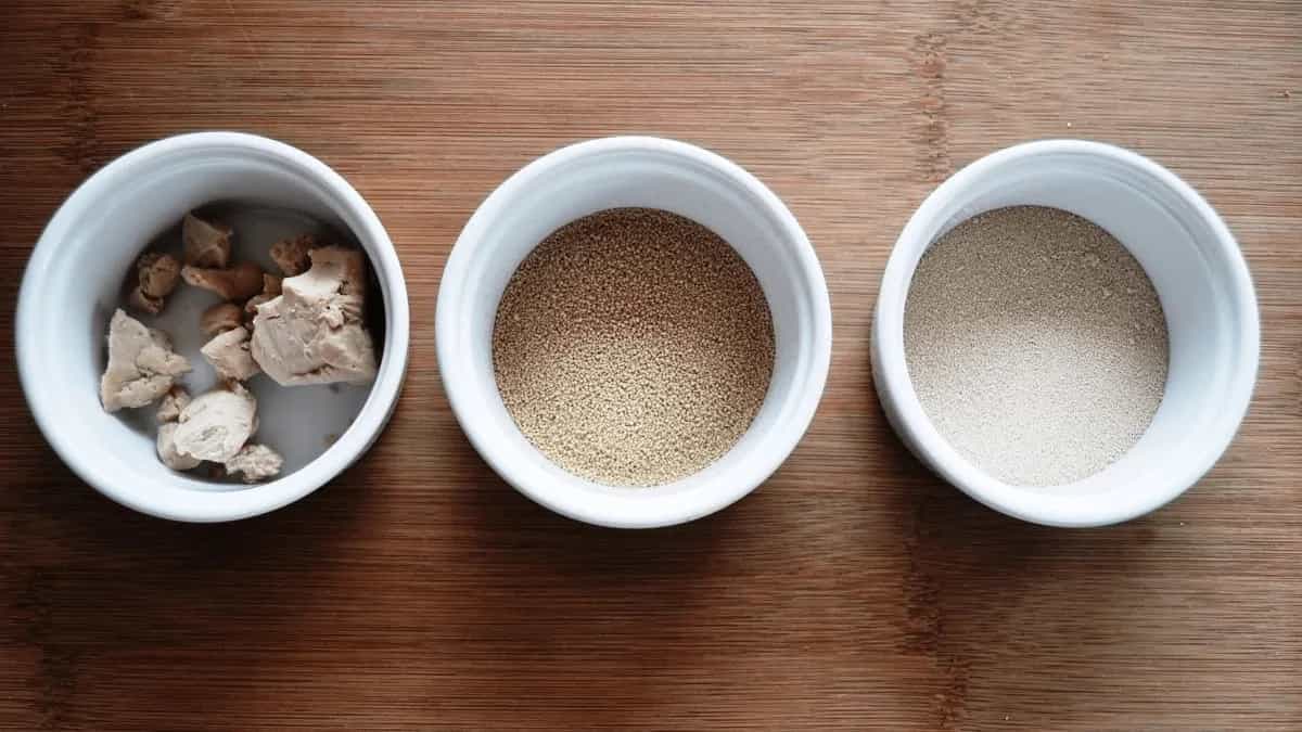 Instant Yeast Vs. Active Dry Yeast; Know The Difference