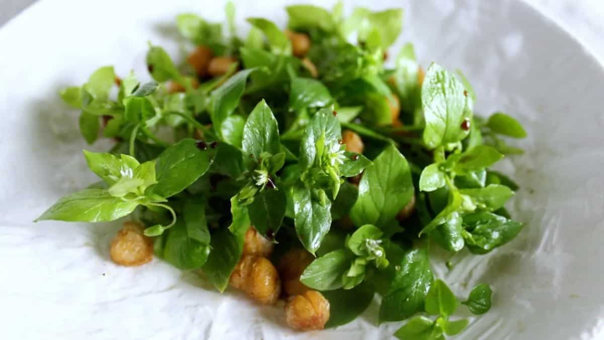 How To Use The Nutritious Chickweed  Wild Herb In Cooking?