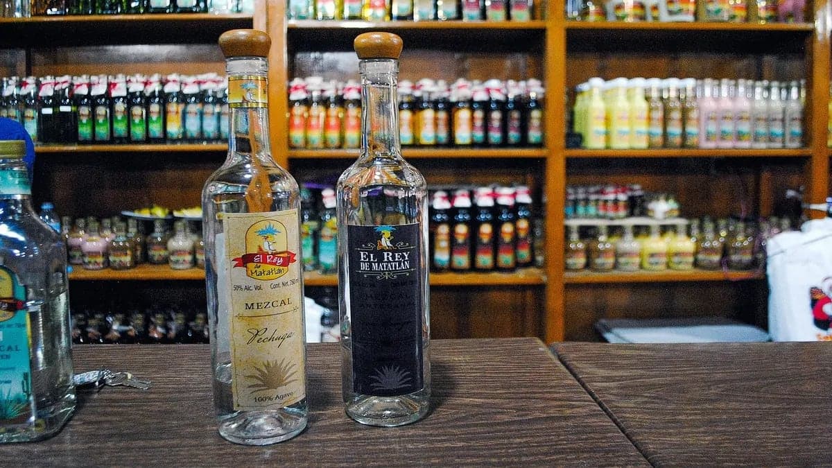 Crafting Tradition: The Story of Artisanal Mezcal