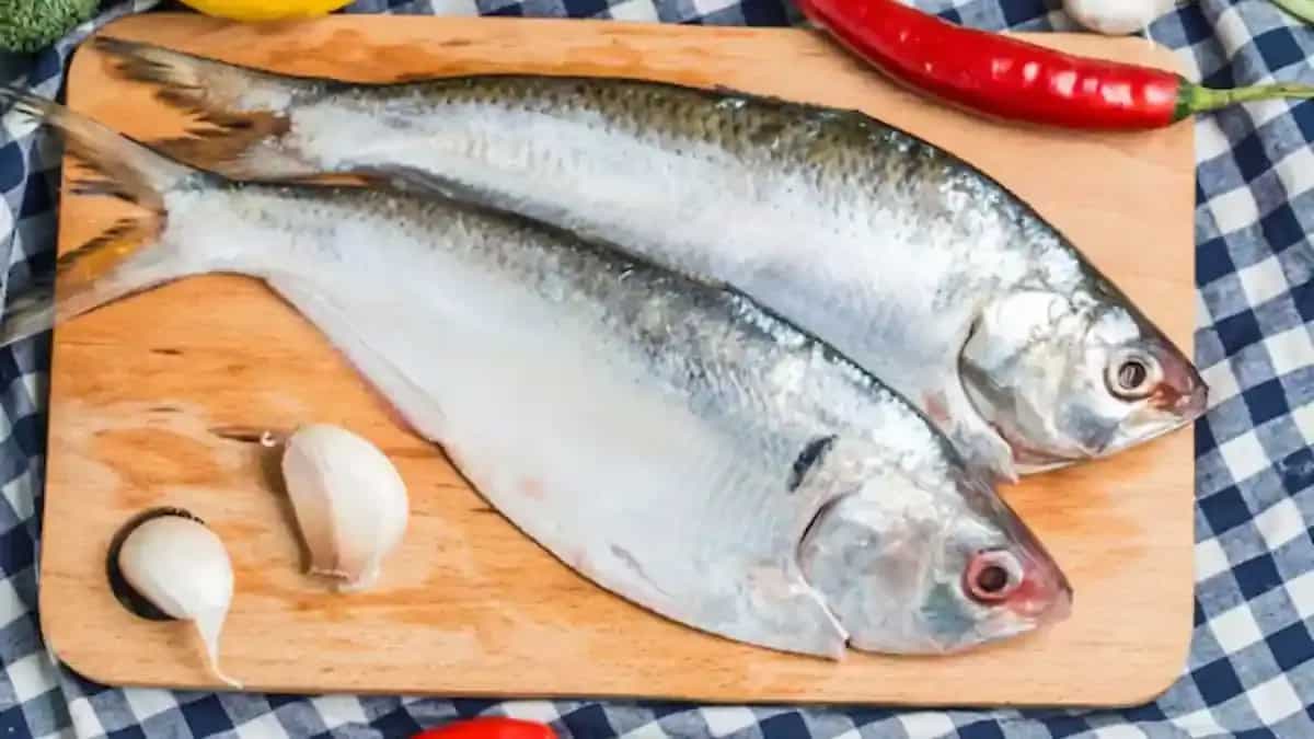 Craving Hilsa? The Basic Ways Of Prepping And Cleaning The Fish