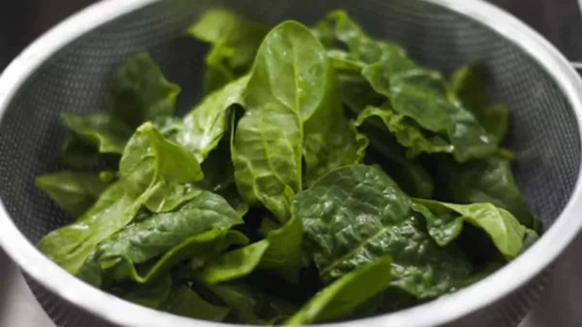 How To Grow Spinach? Tips To Plant It In Your Kitchen Garden