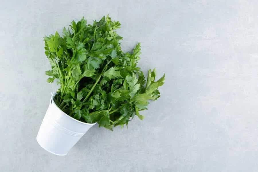 6 Dishes To Make With Coriander Leaves Apart From Chutney