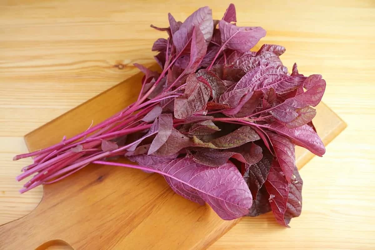 Red Amaranth For Health: 7 Benefits Of Eating Chaulai 
