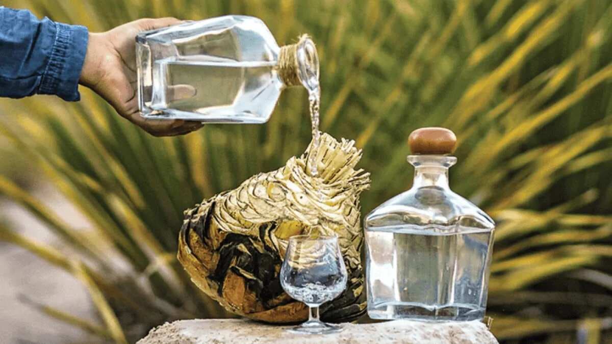 Meet Sotol, Mexico's Secret Agave Alcohol