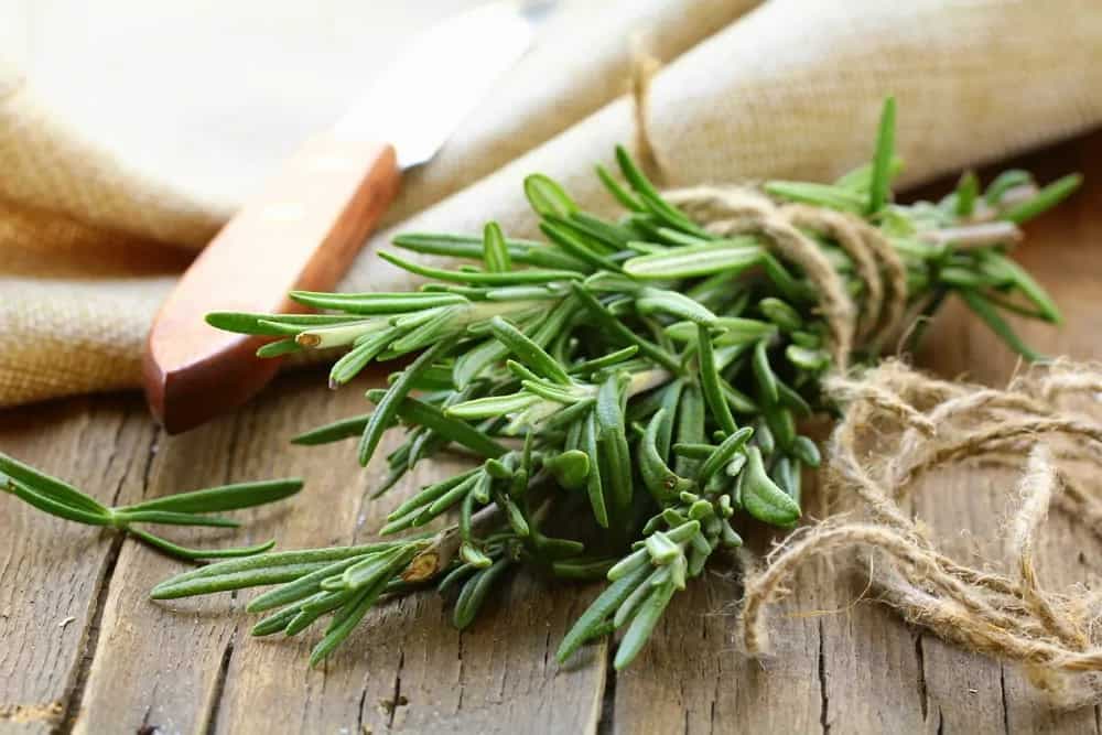 Master Italian Cooking: Must-Have Herbs And How To Use Them