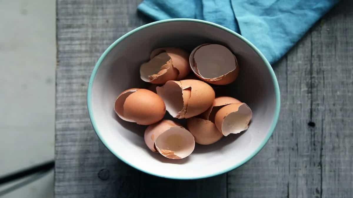 5 Effective Ways To Utilise Eggshells In Your Kitchen