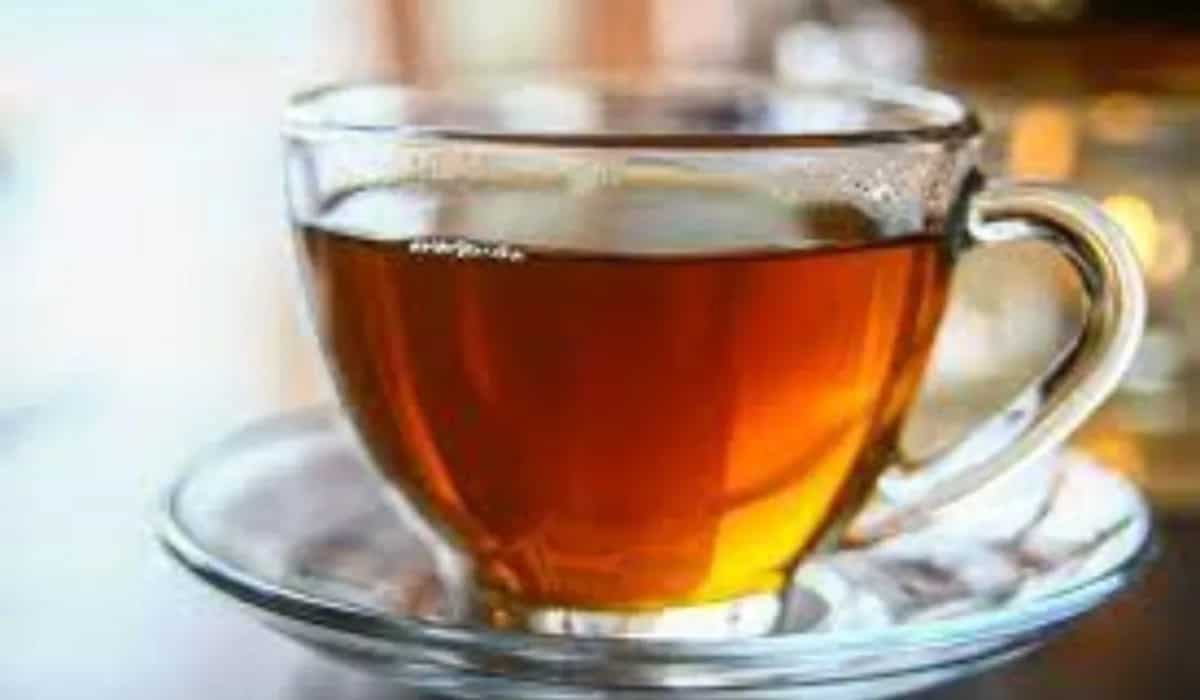 Here Are The Top 5 Tea Brands for a Perfect Brew
