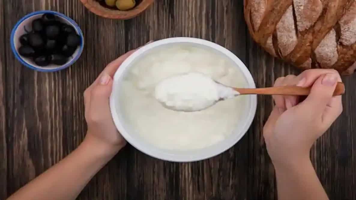 Struggling To Set Curd At Home? Avoid These 5 Mistakes