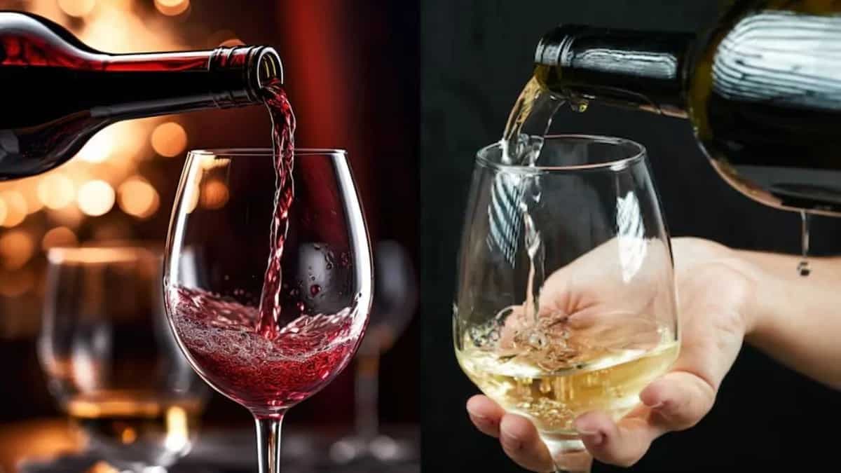 Red Vs. White Wine: Beginner's Guide To Picking The Right Choice