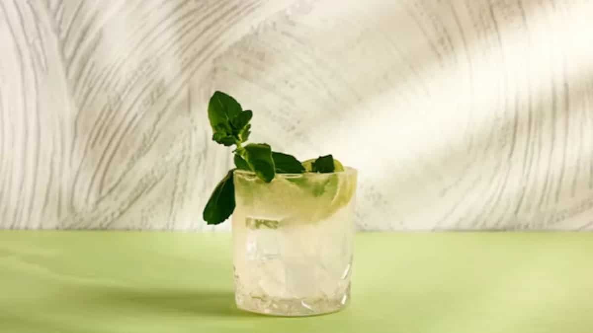 Love Peppermint Cocktails? Explore The 5 Best Garnishes