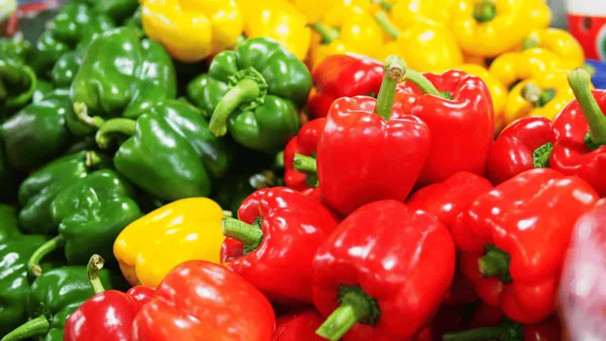 8 Interesting Recipes To Make With Bell Peppers 