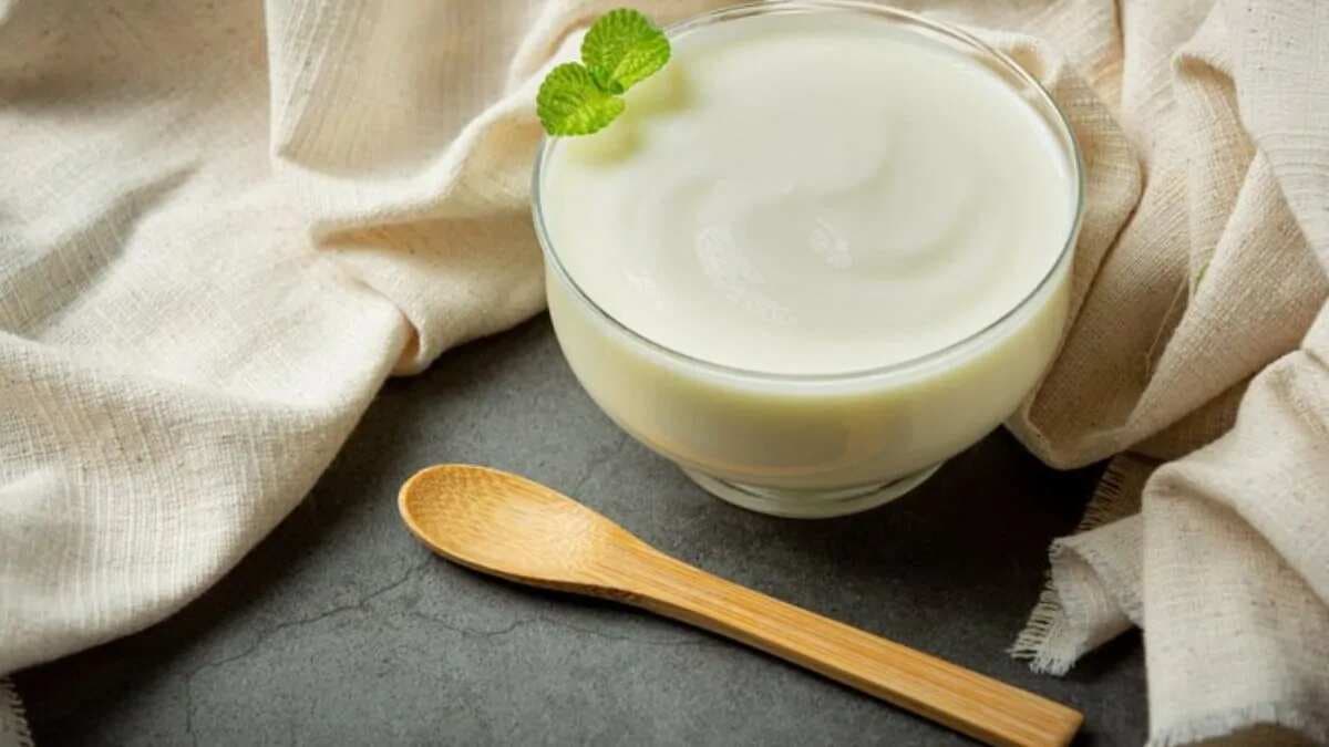 Ramadan 2024: 6 Yoghurt-Based Dishes To Consume For Suhoor