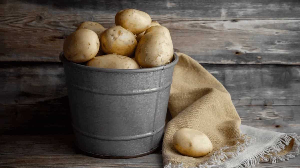 Planting Potatoes In Pots: 6 Tips For Container Growth