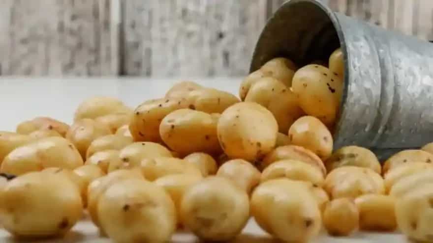 Storing Potatoes? Here's A Storage Hack To Increase Shelf Life