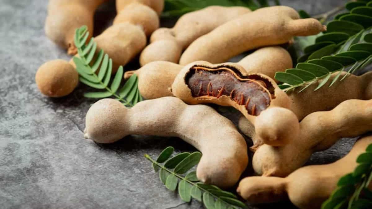 How To Grow Tamarind From Seeds In Your Garden