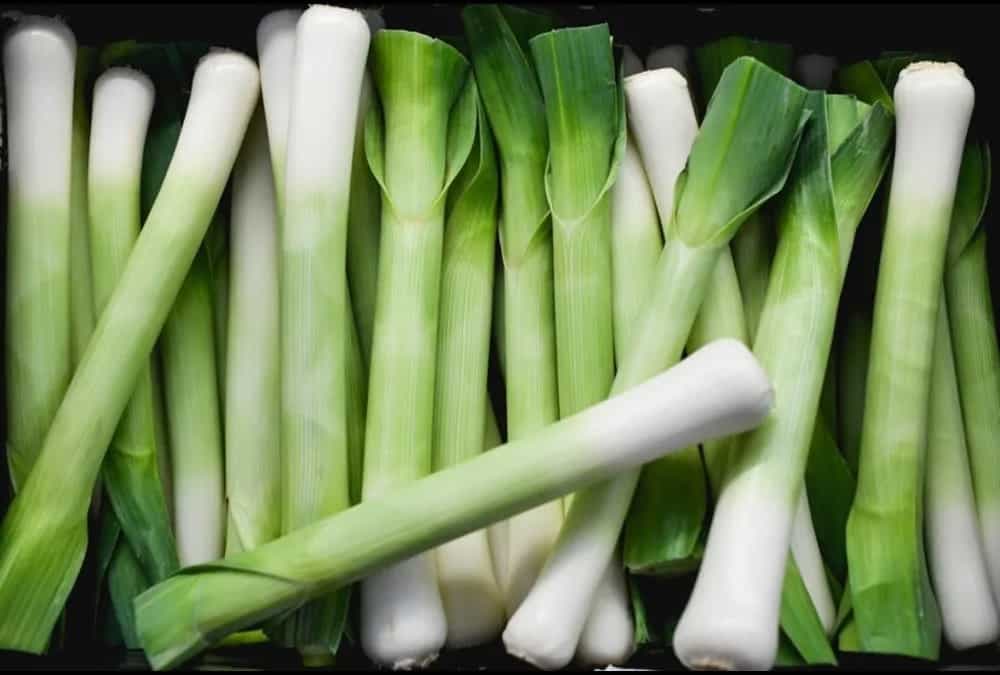 5 Health Benefits Of Eating Leeks, The Antioxidant-Rich Veggie