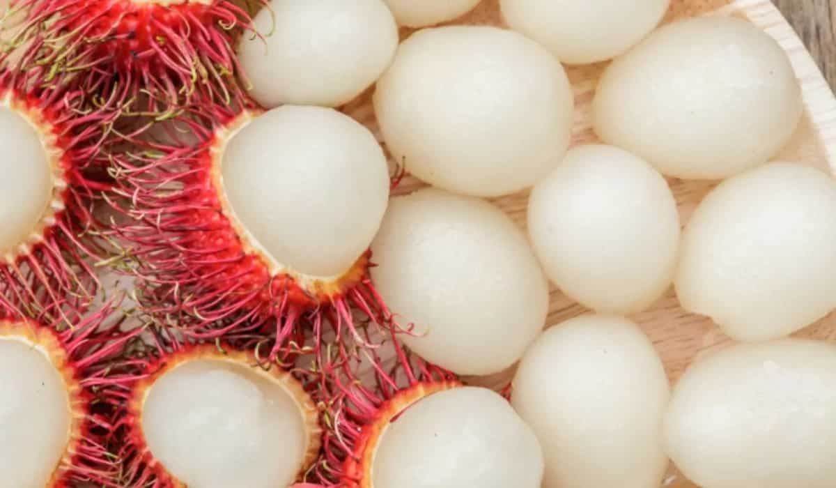 Discovering Rambutan: Unearthing Its Name Origins And Benefits