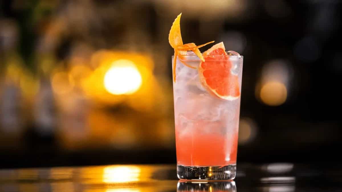 Greyhound, The Loyal Cocktail Just Like The Dog! Know Its Recipe