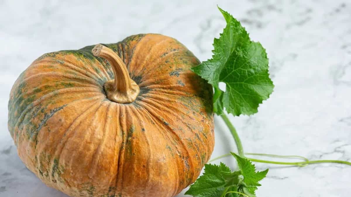 Love Pumpkin Leaves? 7 Bengali Kumro Pata Dishes You Can't Miss 