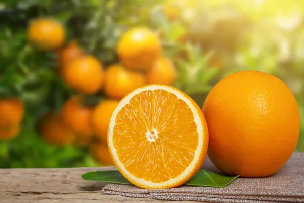8 Creative Ways To Enjoy Oranges In Summer Months