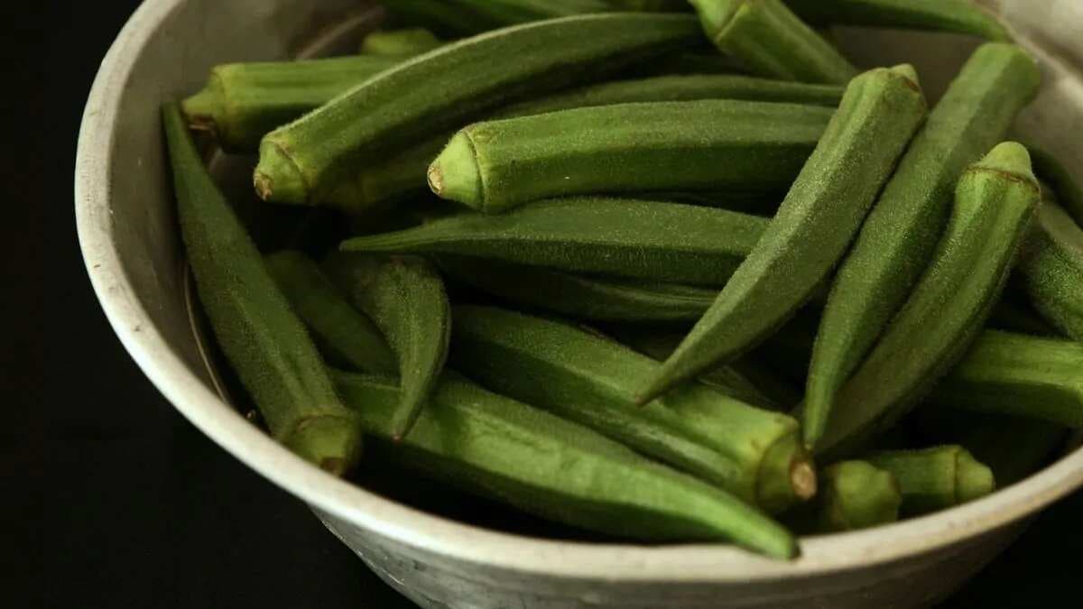 Growing Bhindi At Home: Essential Tips To Keep In Mind