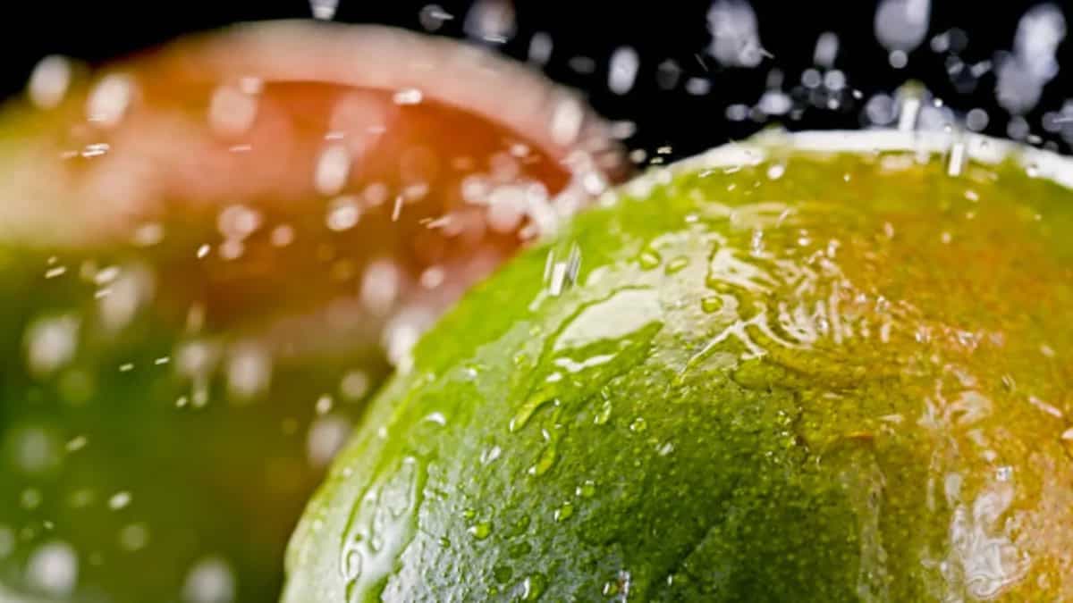 5 Reasons Why Mangoes Are Soaked In Water 