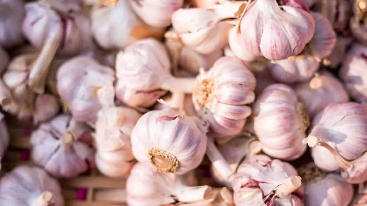 8 Lesser Known Uses Of Garlic Peel That You Should Know