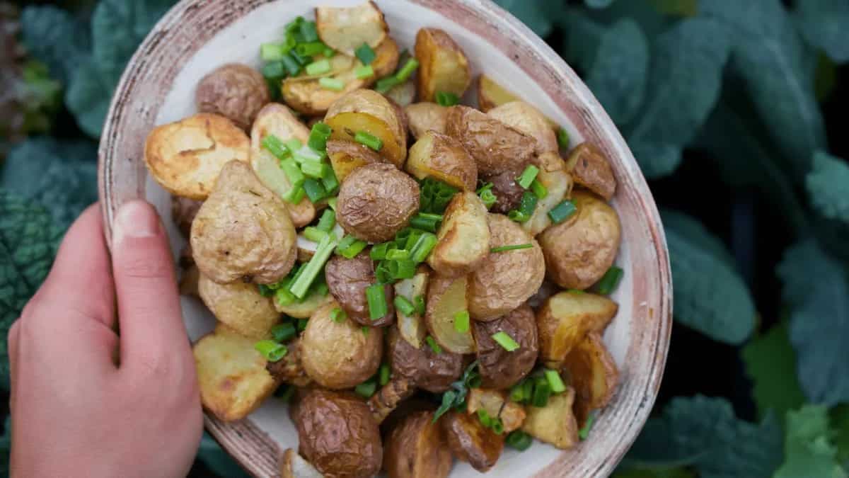 Journey Of How Potato Became The King Of Comfort Food