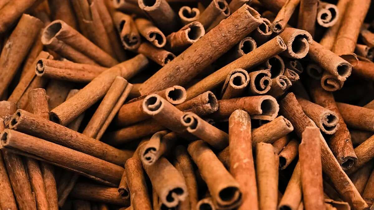 Dalchini Wonders, The Role Of Cinnamon In Indian Cuisine