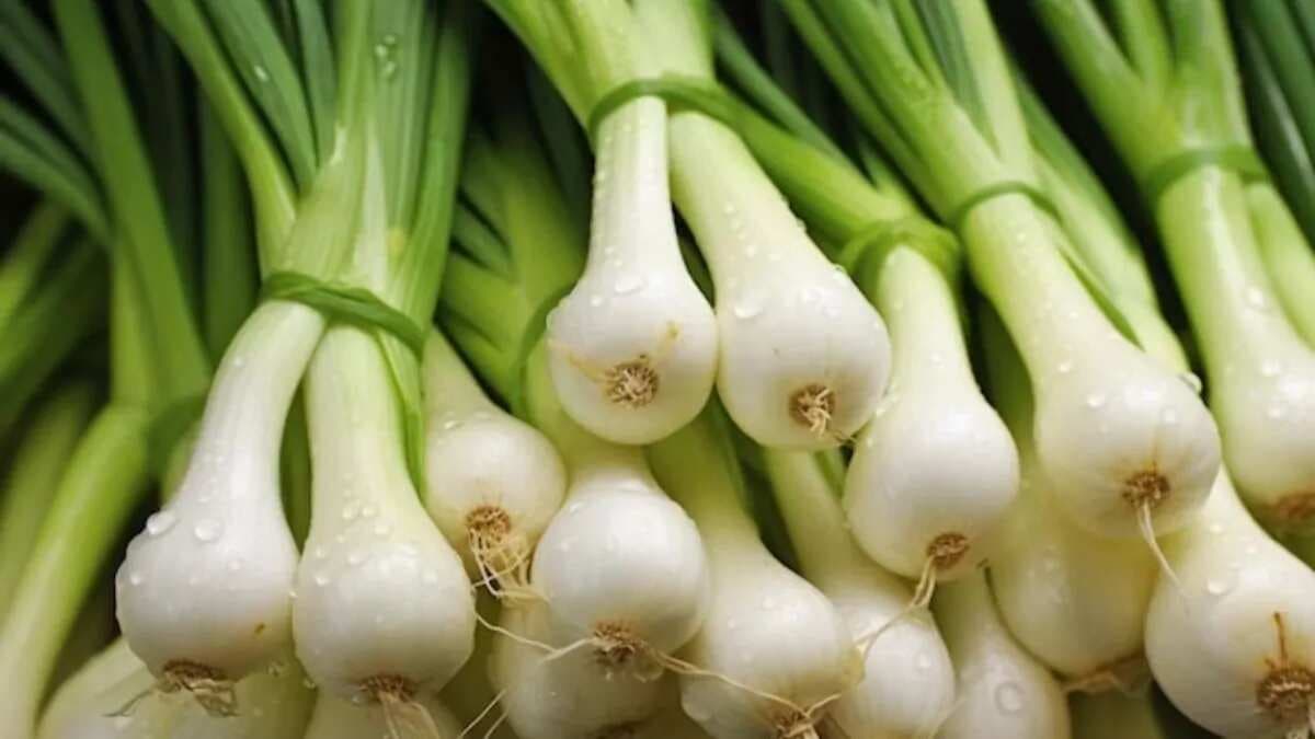 7 Health Benefits Of Eating Spring Onion