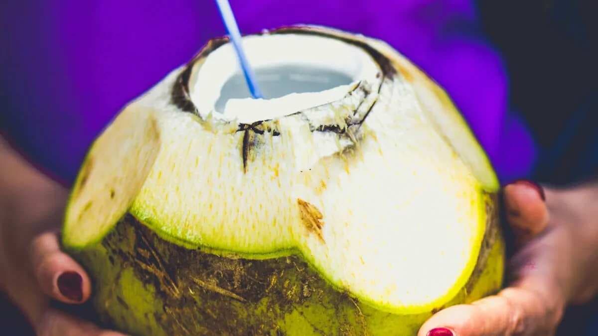 6 Tips To Buy Coconuts With Most Amount Of Water