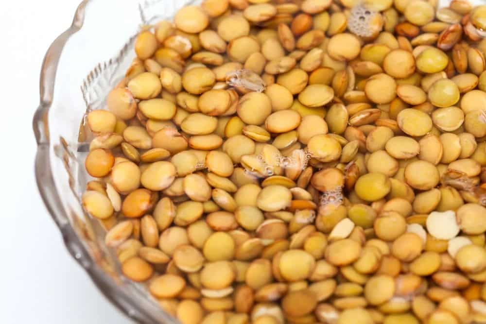 Whole To Split, Know How Long To Soak Your Lentils Right And How