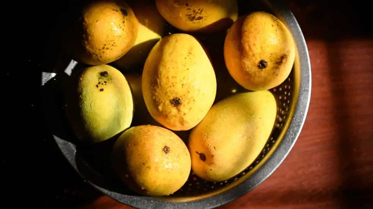 National Mango Day 2023: 7 Interesting Facts And Significance