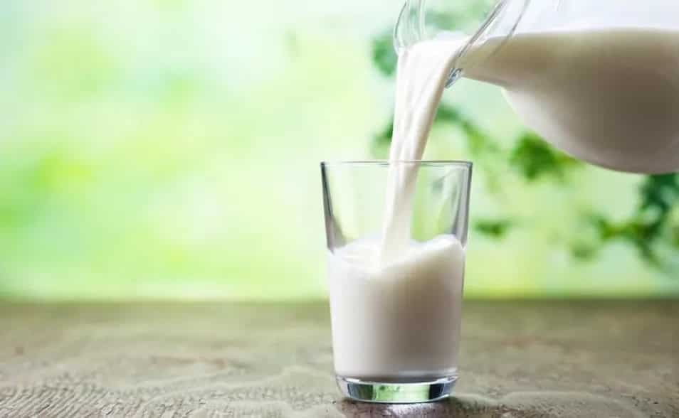 Milkmen In MP's Bhind Need To Carry Lactometers Under New Rules