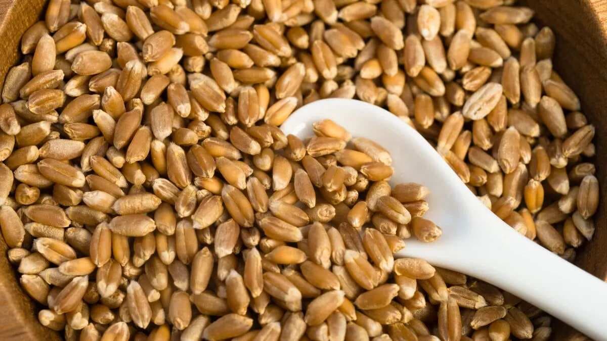 What Are Wheat Berries And How Should You Cook Them?
